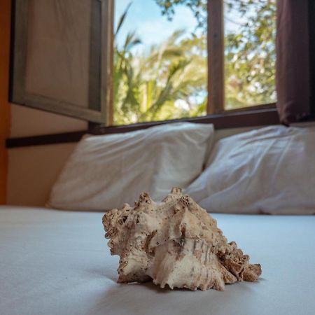 Uvita River Guesthouse Екстериор снимка