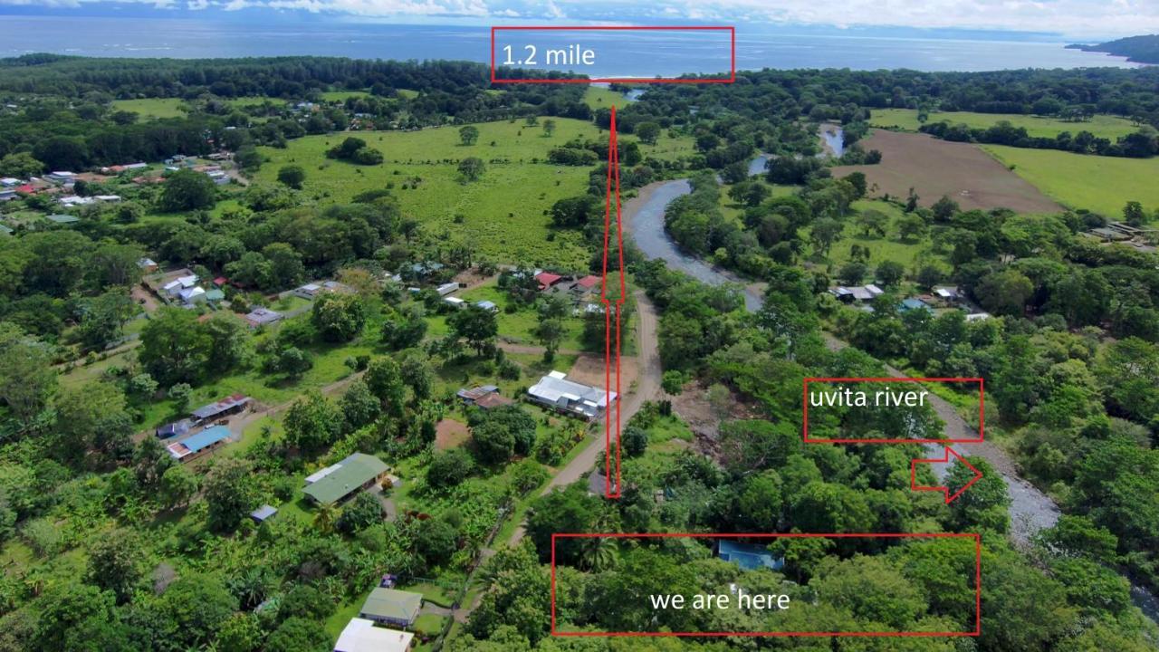Uvita River Guesthouse Екстериор снимка