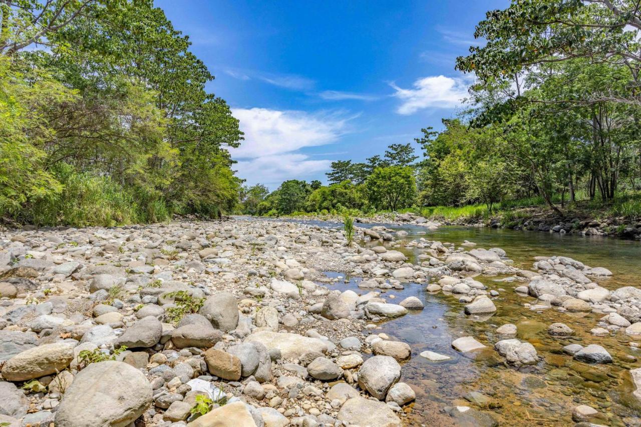 Uvita River Guesthouse Екстериор снимка